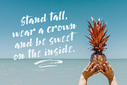 Fruit Salad Brush Font + Extras, a Script Font by milenabdesign (Thumbnail 4 of 10)