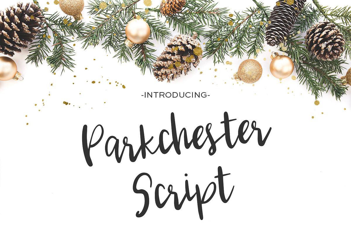 Parkchester Script, a Script Font by Beck McCormick (Photo 1 of 5)