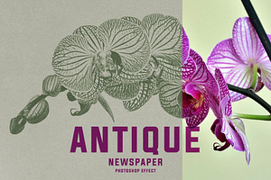 ANTIQUE Newspaper Vintage PSD Effect