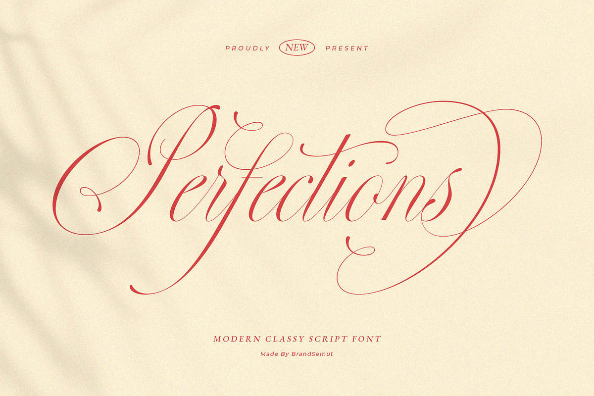 Perfections - Classy Romantic Script, a Script Font by BrandSemut (Photo 1 of 15)