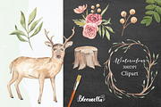 Watercolour Forest Deer Owl Foliage, an Animal Illustration by Bloomella (Thumbnail 4 of 4)