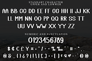 Daylight, a Script Font by FreshTypeINK (Thumbnail 3 of 8)