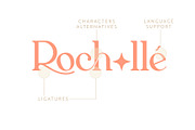 Offtime | Modern Ligature Serif Font, a Serif Font by Kandella's Art (Thumbnail 9 of 23)