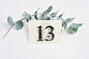 Floral clipart and monograms, vector, an Illustration by harmonia_green_art (Thumbnail 12 of 16)