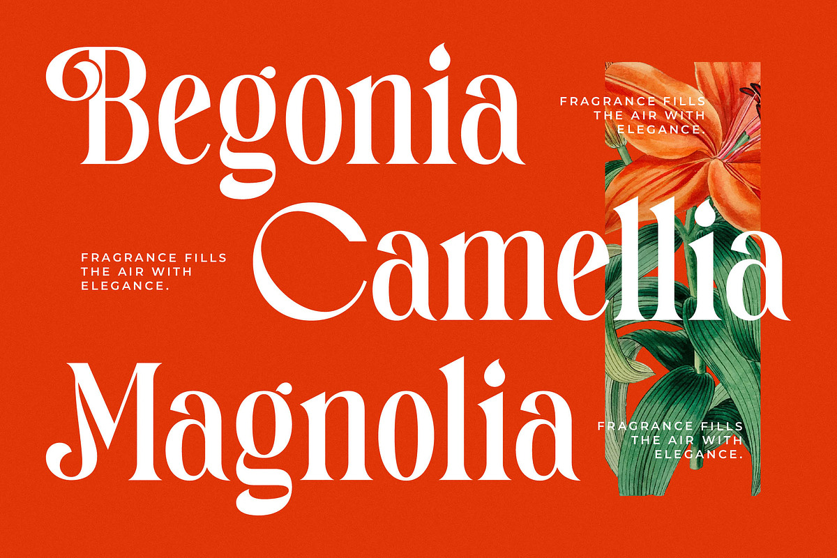 Magitals Glowing Modern Serif, a Serif Font by timelesstype.co (Photo 8 of 20)