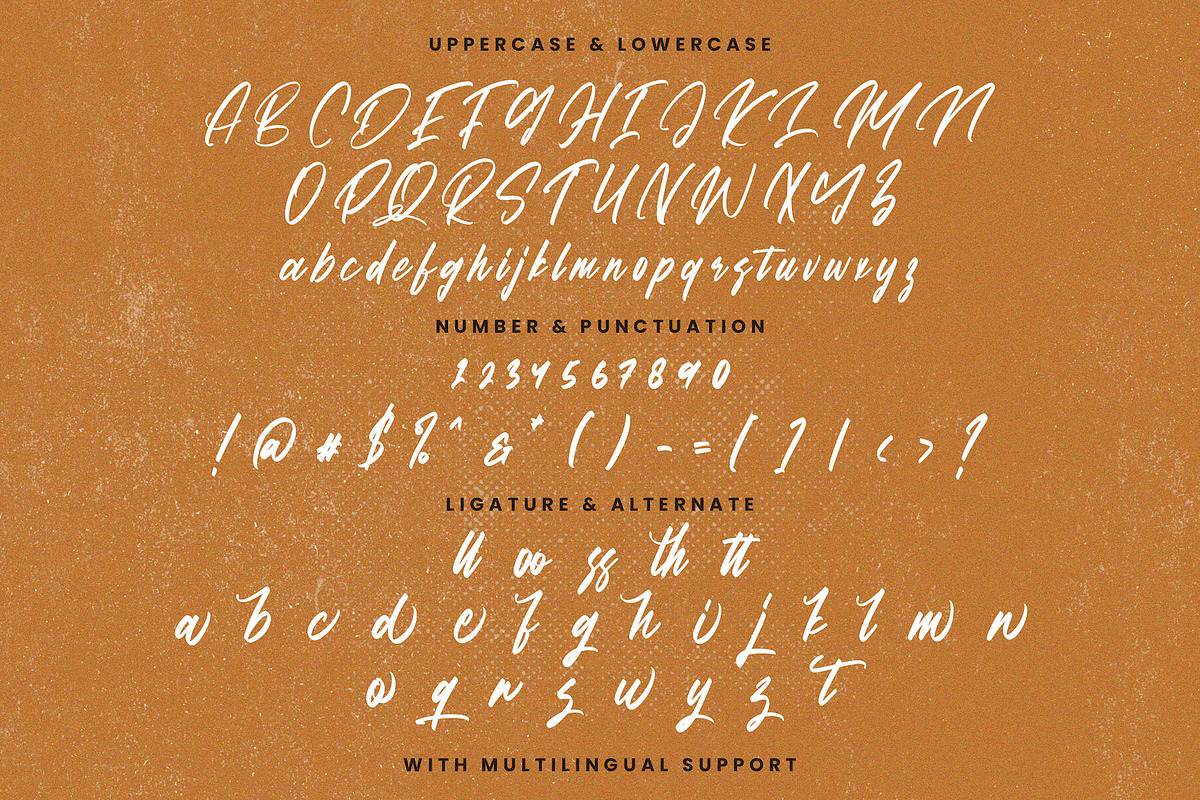 Matequn Historiya - Handwritten Font, a Script Font by StringLabs (Photo 10 of 11)