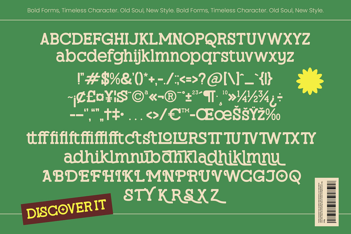 Molusen New Retro Serif Display Font, a Slab Serif Font by timelesstype.co (Photo 10 of 10)