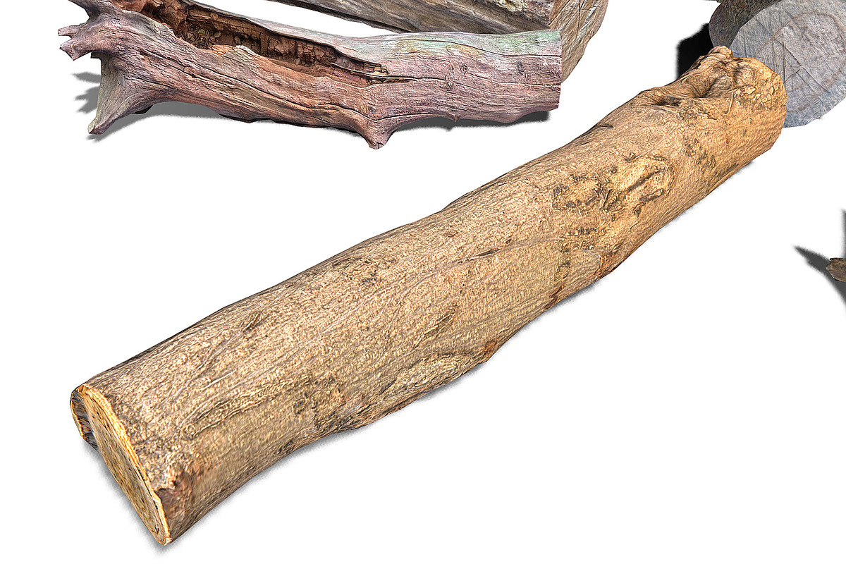 13 Tree Logs, an Environmental 3D Model by Beatheart Creative Studio (Photo 27 of 37)