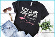 Human Costume Flamingo SVG, an Object Graphic by Creativeusart (Thumbnail 1 of 4)
