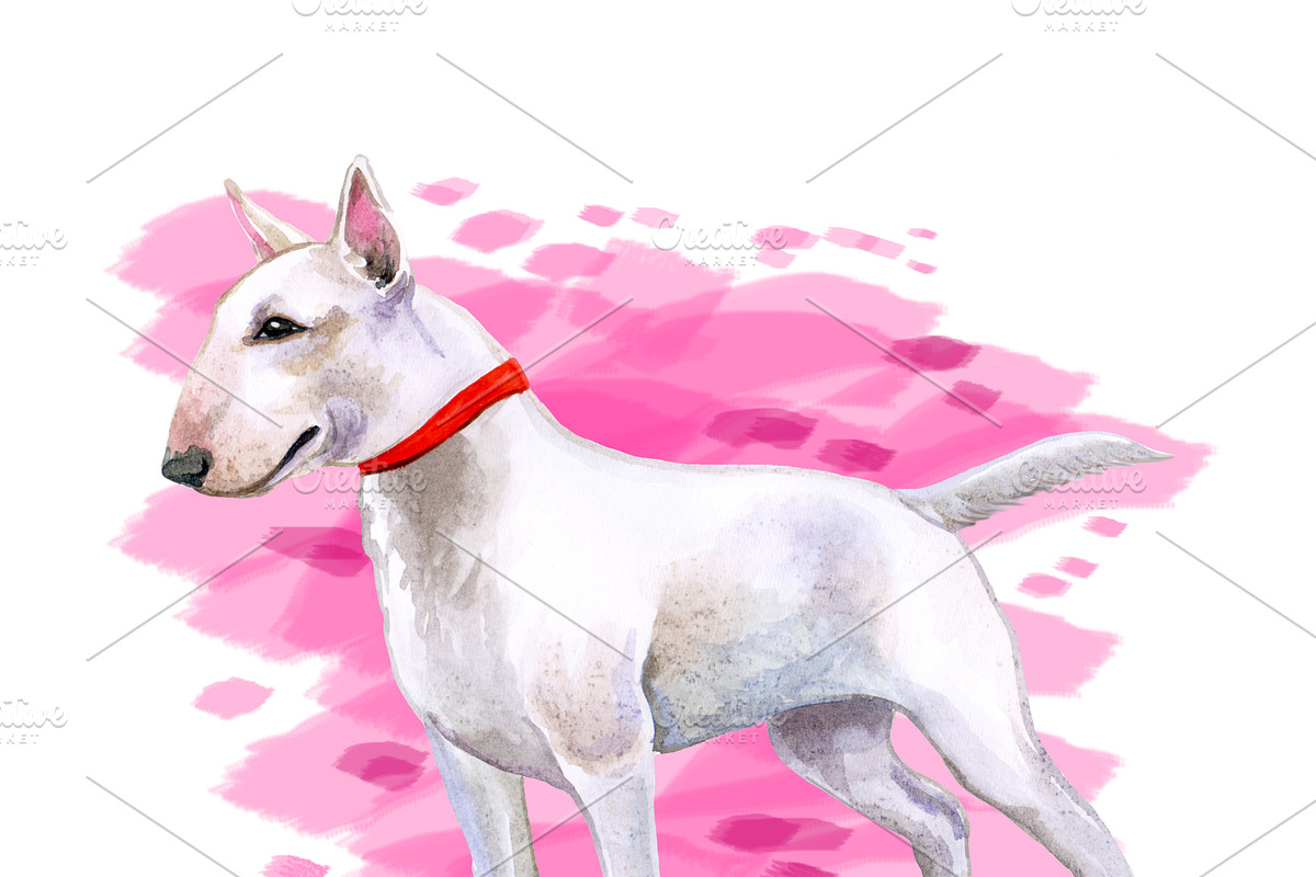 Watercolor Dogs Mega Big Bundle, an Illustration by Dneprstock (Photo 13 of 60)