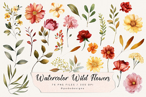 Watercolor Wild Flowers