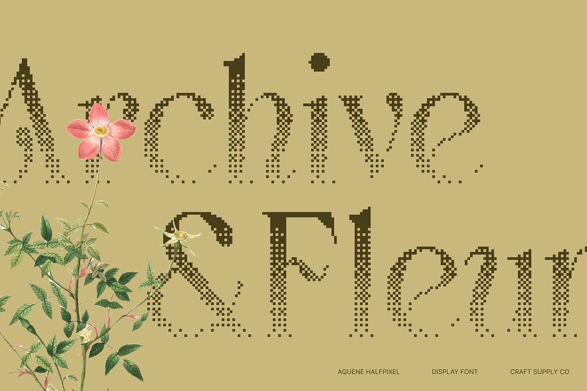 Aquene Halfpixel, a Serif Font by Craft Supply Co. (Photo 6 of 8)