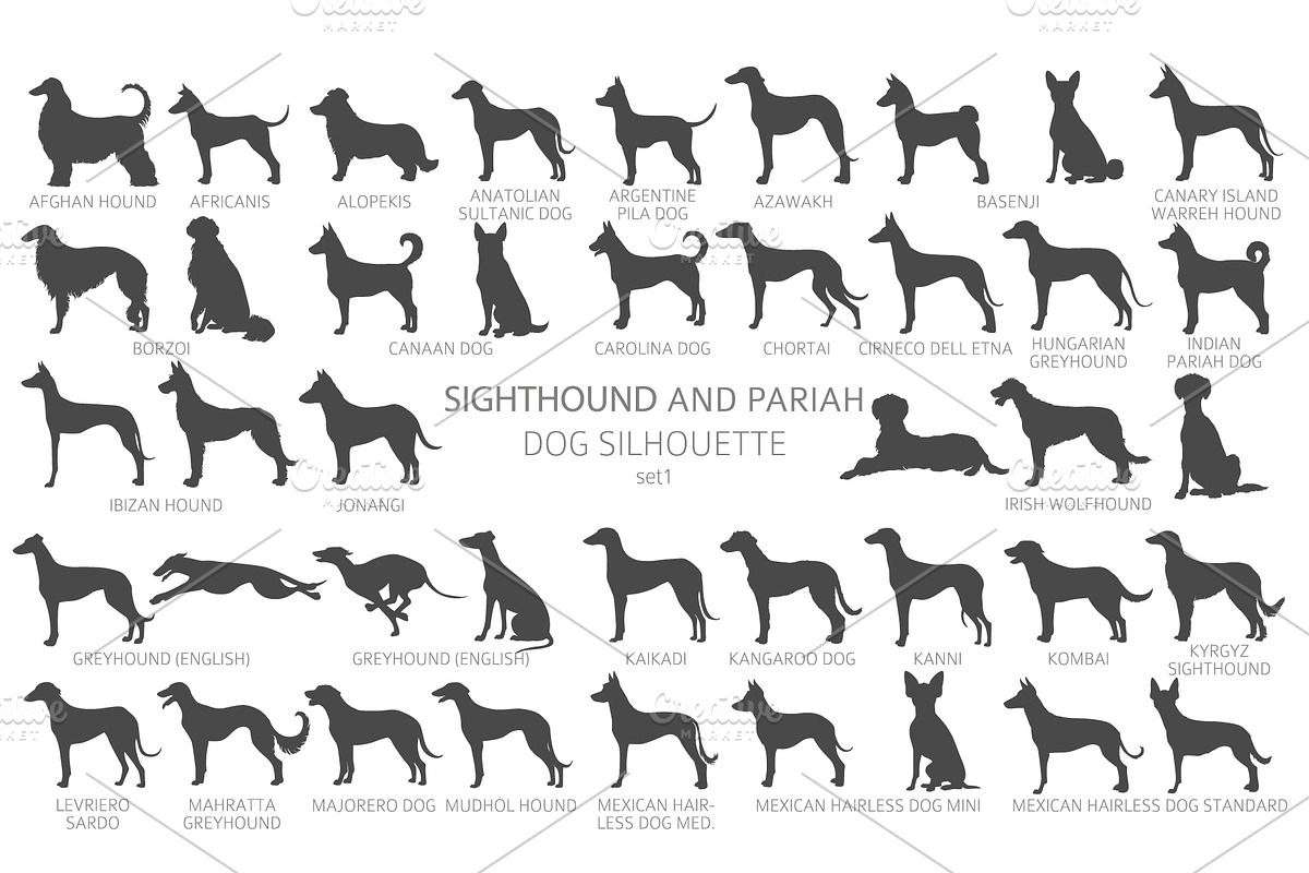 Sighthound and Pariah dog Silhouette, an Animal Illustration by pet design shop (Photo 4 of 9)