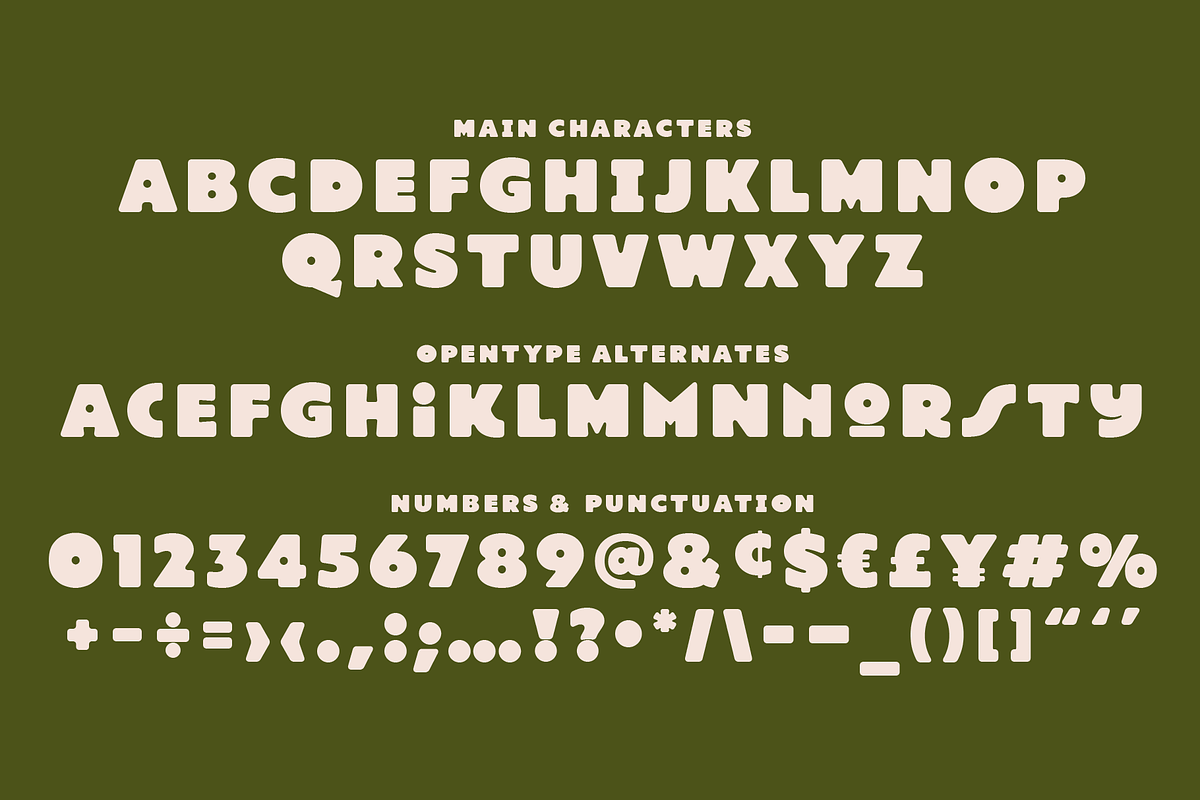 ATF Manarola, a Sans Serif Font by Arkitype (Photo 14 of 15)