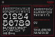 BuckOne, a Serif Font by inumocca_type (Thumbnail 13 of 14)