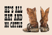 Yeehaw, a Font by Loudoun Design Co. (Thumbnail 6 of 6)