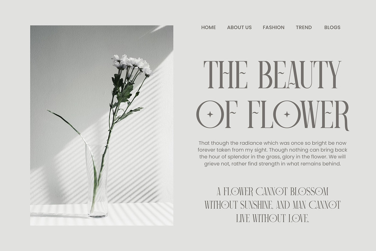 Camiro Elegant Serif Font Typeface, a Serif Font by Graphicxell (Photo 7 of 9)