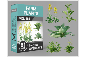 81 Farm Plants Photo Overlays