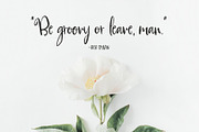 Moonflowers Font Family, a Script Font by Callie Rian & Co. (Thumbnail 11 of 14)