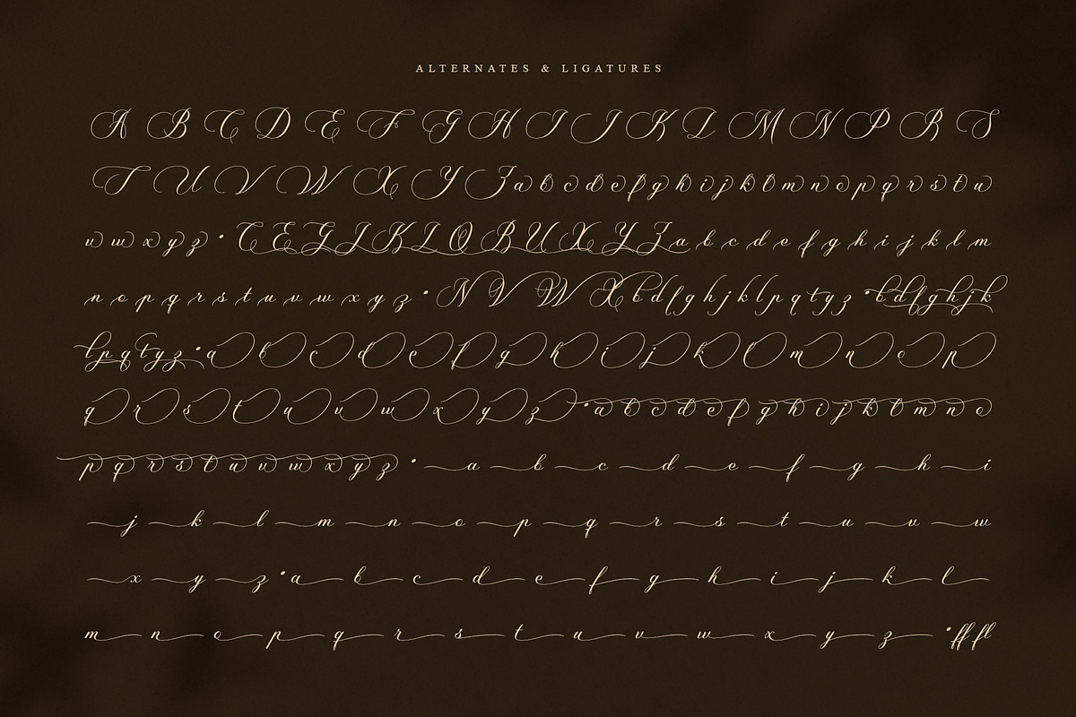 Fesbrise – Luxury Calligraphy Script, a Script Font by Krismagraph (Photo 10 of 10)