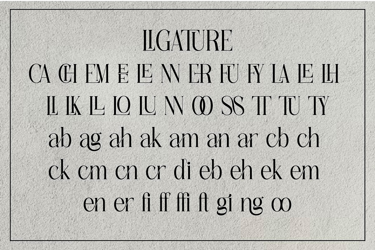cheerfull, a Serif Font by jaffana.co (Photo 7 of 7)