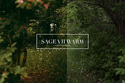 Sage, Moody Lightroom & ACR Presets, an Action Add-On by Darling Josephine (Thumbnail 24 of 27)