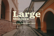 Carsito Tember Bold Retro Slab Serif, a Slab Serif Font by Maulana Creative (Thumbnail 3 of 7)