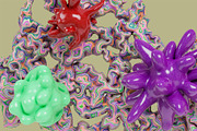Abstract Organic 3D Shapes, a Decorative Illustration by StockVerse Creative (Thumbnail 2 of 4)