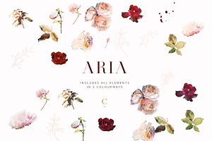 Aria - Romantic Watercolor Florals