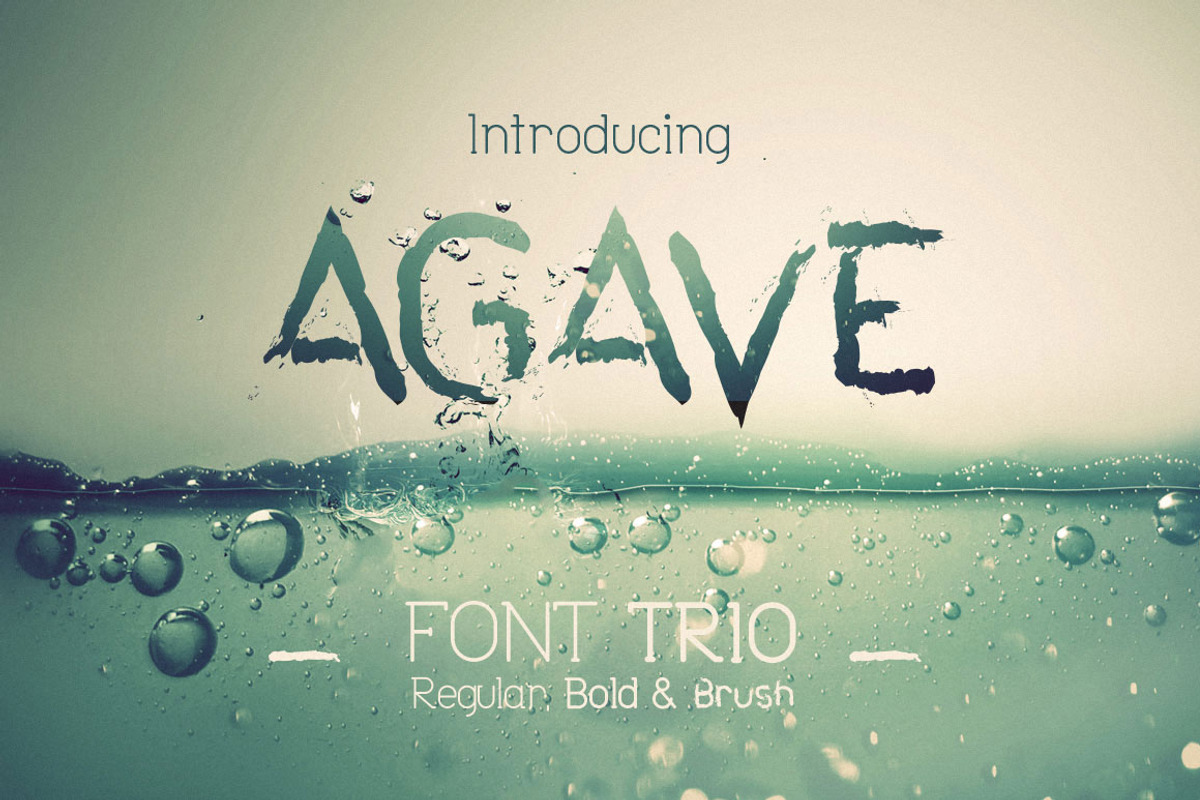 Agave Font Trio