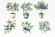 Olive Watercolor Clipart, a Food Illustration by Douce Créativité (Thumbnail 4 of 6)