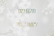 [Spring Vibes] Splendor Font -30%, a Font by VP Fonts (Thumbnail 9 of 12)