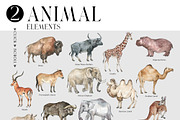 ANIMALS World Encyclopedia, an Animal Illustration by Anastezia Luneva (Thumbnail 5 of 14)