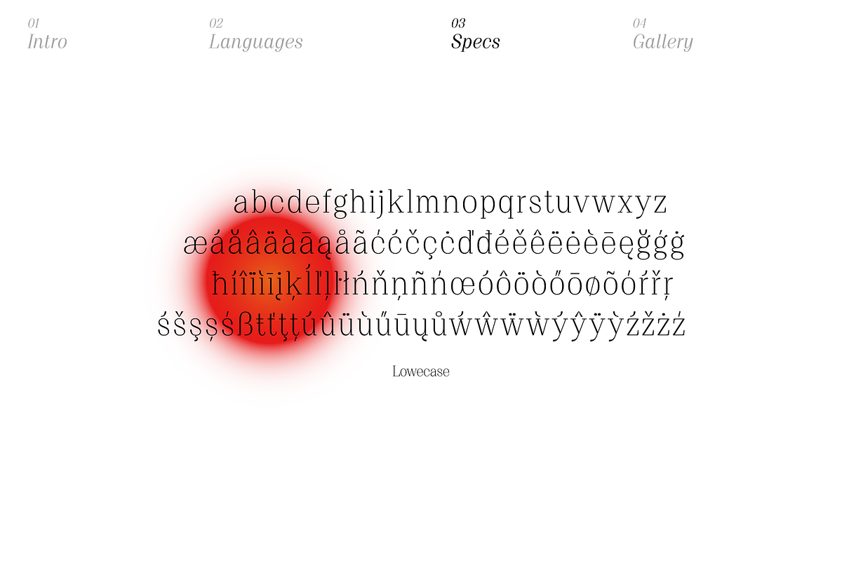 Proto Serif Light, a Serif Font by Bukva™ Type Foundry (Photo 6 of 13)