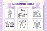 Human Anatomy Coloring Book, an Education Illustration by HueNestify (Thumbnail 2 of 4)