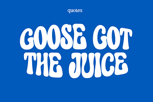 Curious Goose Font - Groovy Font