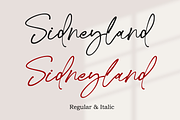 Sidneyland, a Script Font by Ibrahima_Studio (Thumbnail 11 of 13)