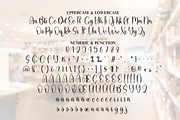 Bookstore | Script Font, a Handwritten Font by Scratchones (Thumbnail 7 of 8)