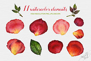 Floral watercolor rose petals, an Illustration by MiraEl Art (Thumbnail 2 of 8)