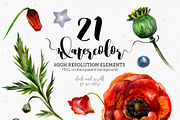 Poppy Mania Watercolor Clip Art Set, a Decorative Illustration by Inna Sinano (Thumbnail 3 of 7)