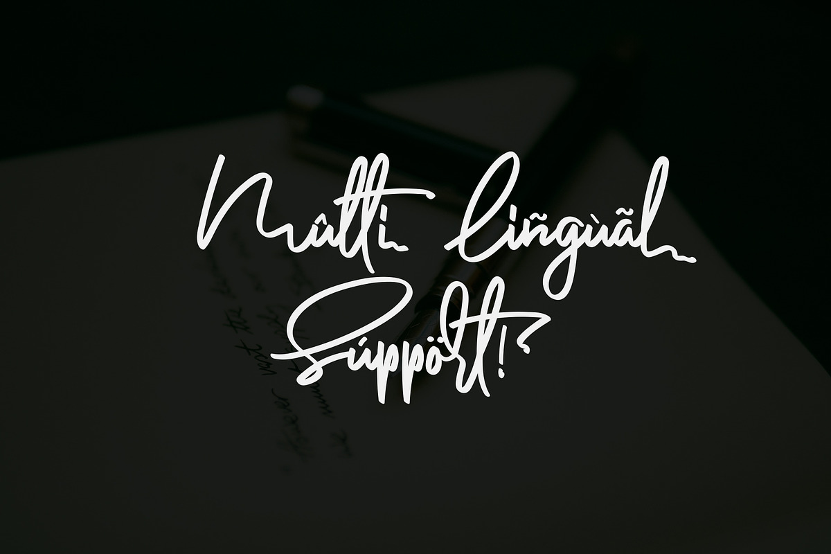 Anderfont - a Signature Font, a Script Font by alphArtype (Photo 9 of 11)