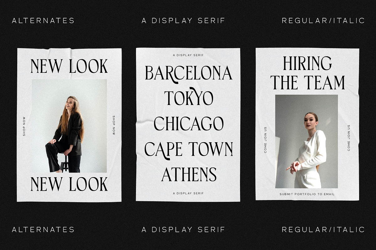 Horge A Display Serif Font, a Serif Font by Storytype Studio (Photo 6 of 16)