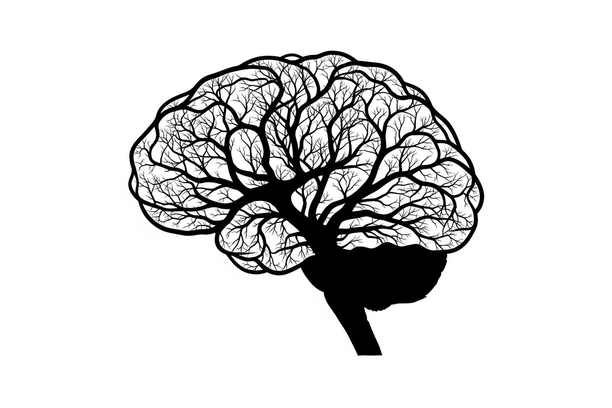 Brain Tree Knowledge Design Bundle, an Illustration by Gaye Art (Photo 2 of 31)