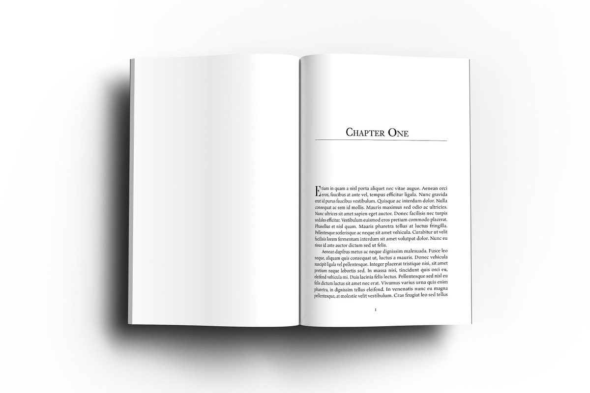 6 x 9 Adobe Indesign Book Template preview 3