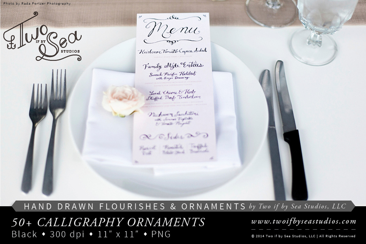 Hand Drawn Calligraphy Ornaments, an Illustration by Two if by Sea Studios (Photo 5 of 5)