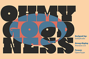 Strong Display Sans Family, a Slab Serif Font by xdCreative (Thumbnail 8 of 8)