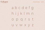Calypso // A Modern Font Duo, a Serif Font by Megs Lang (Thumbnail 11 of 18)