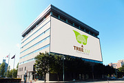Tree Leaf Logo, a Branding & Logo Template by Josuf Media (Thumbnail 2 of 4)