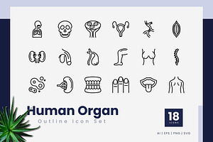 Human Organ Outline Icons, an Outline Icon by Zeer Graphic