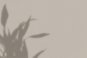 60 Shadow Overlay Pack | PSD + PNG, a Product Mockup by GRPXSTORE (Thumbnail 17 of 17)